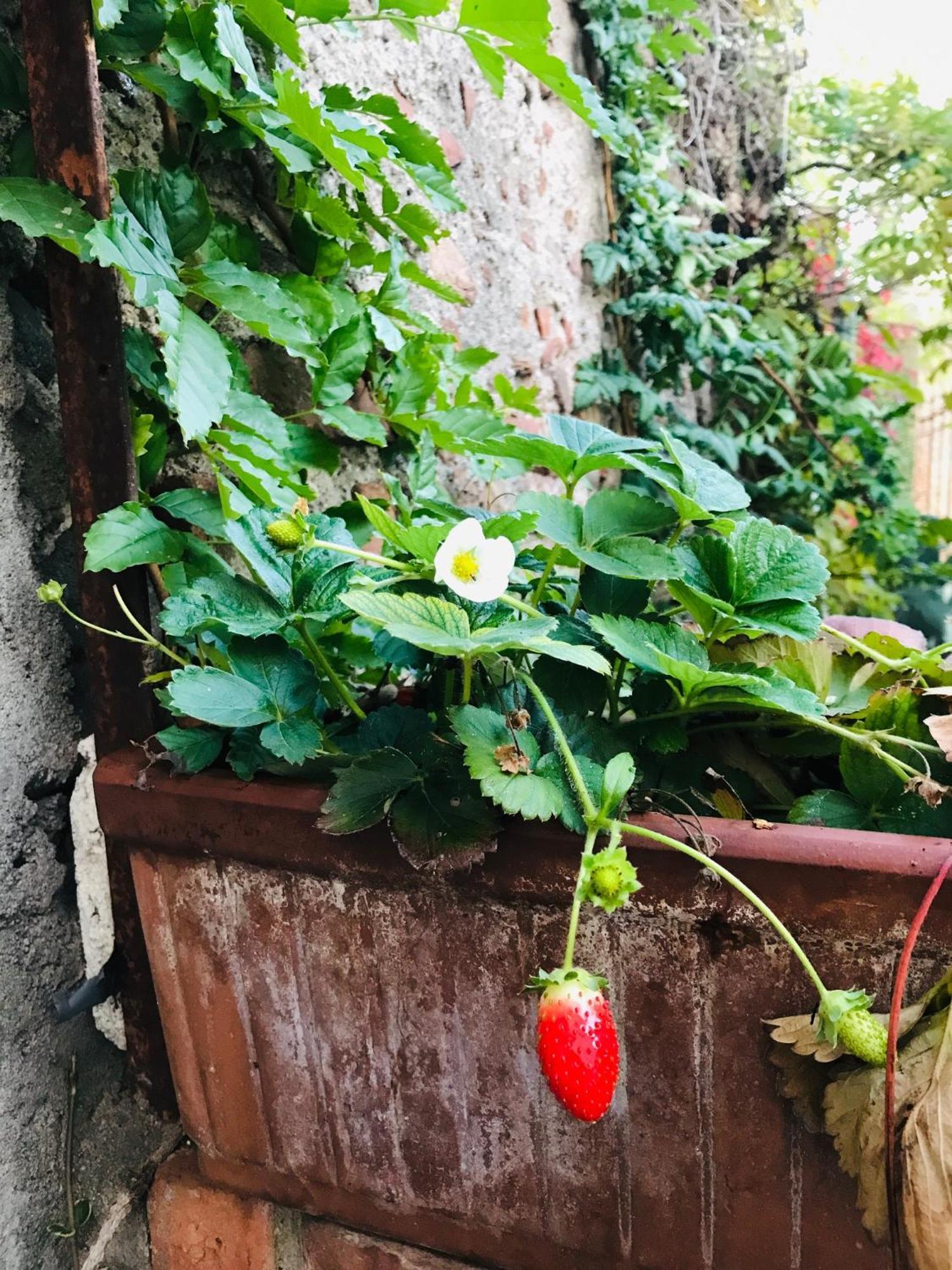 Una Casa Di Campagna Dossobuono Exterior foto